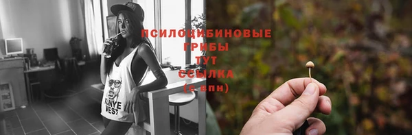 мет Арсеньев