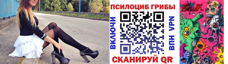 Купить где  Болотное  Галлюциногенные грибы Psilocybine cubensis 